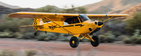 An image of tacaero cub (PNG)